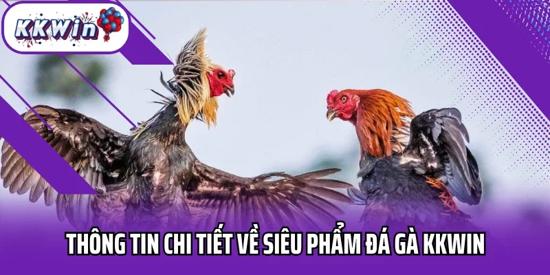 Thông tin chi tiết về siêu phẩm đá gà KKWIN